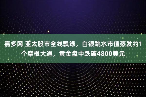 嘉多网 亚太股市全线飘绿，白银跳水市值蒸发约1个摩根大通，黄金盘中跌破4800美元