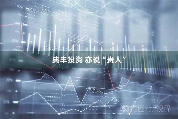 典丰投资 亦说“贵人”